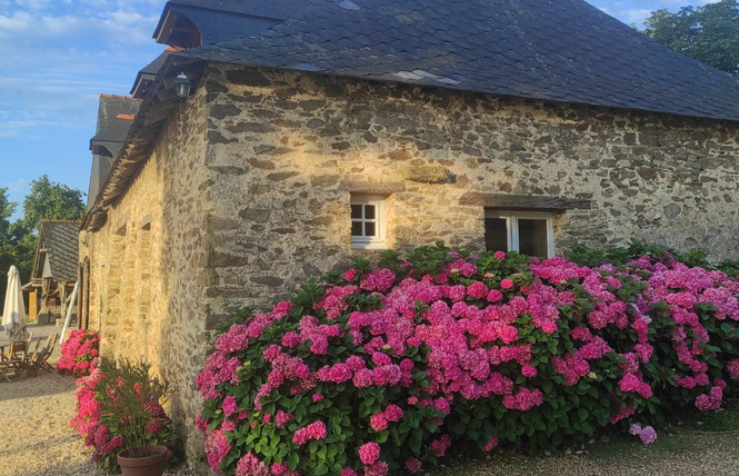 Gîte de la Petite Gilardière 6 - Gennes-Longuefuye