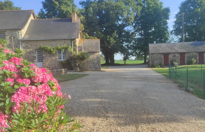 Gîte de la Petite Gilardière 4 - Gennes-Longuefuye