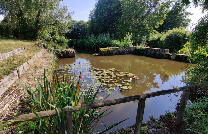 Le Domaine du Moulin de Margué, 15 personnes 24 - Prée-d'Anjou