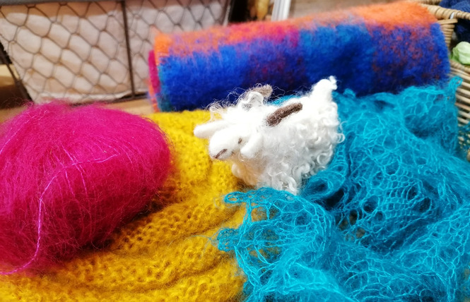 MOHAIR DU MAINE 1 - La Bazouge-de-Chemeré