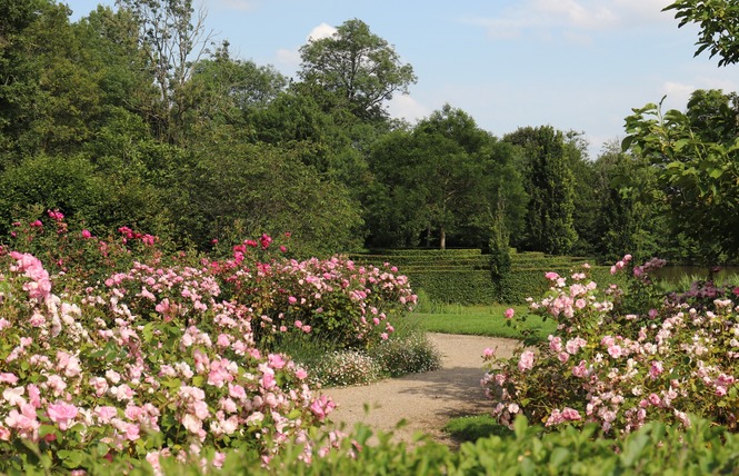Jardin du Château des Arcis 17 - Meslay-du-Maine