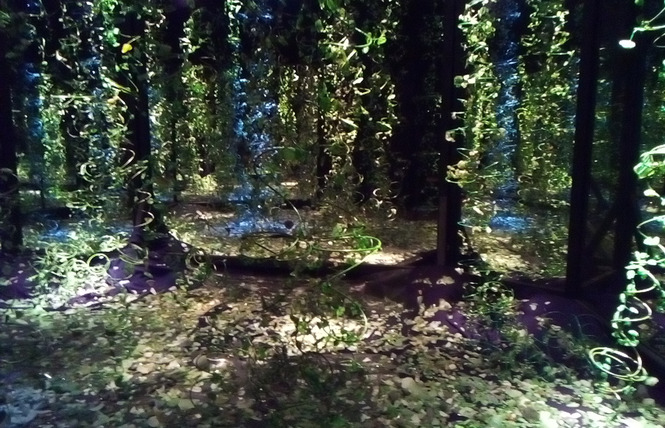 Exposition « IMMERSION » 1 - Château-Gontier-sur-Mayenne