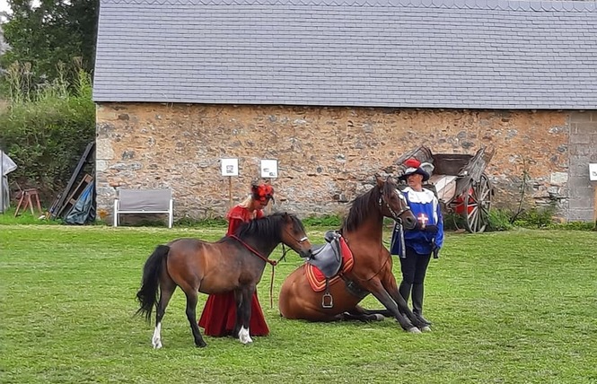 CHÂTEAU DE LINIÈRES 9 - Val-du-Maine