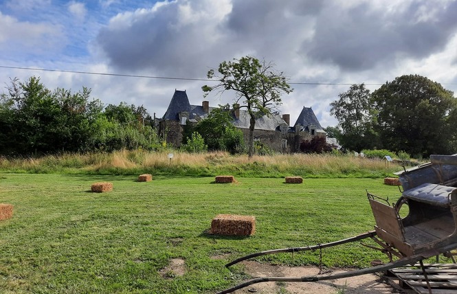 CHÂTEAU DE LINIÈRES 7 - Val-du-Maine