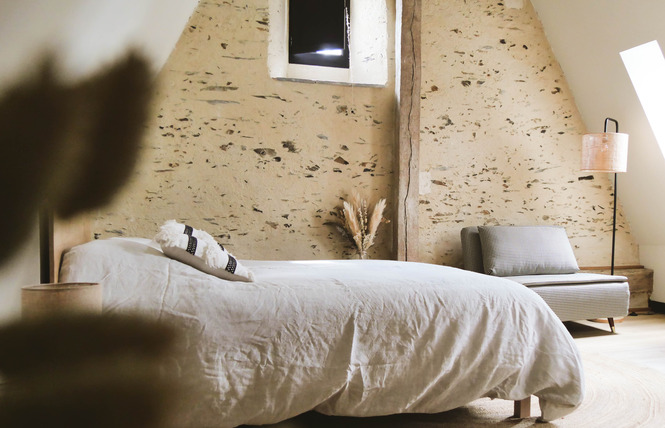 Manoir du Moulinet 9 - Château-Gontier-sur-Mayenne