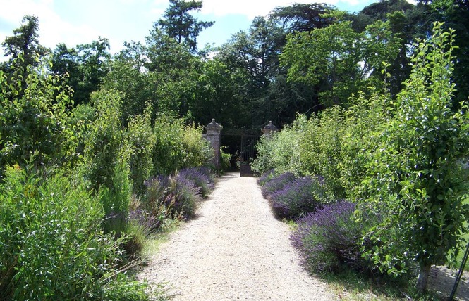 PARC DU CHATEAU DE CRAON 4 - Craon