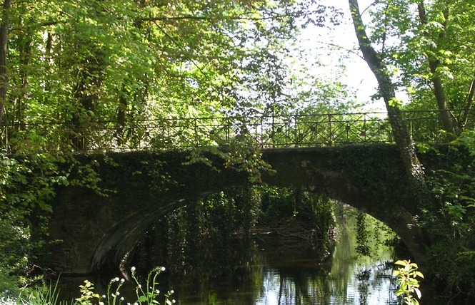 PARC DU CHATEAU DE CRAON 9 - Craon