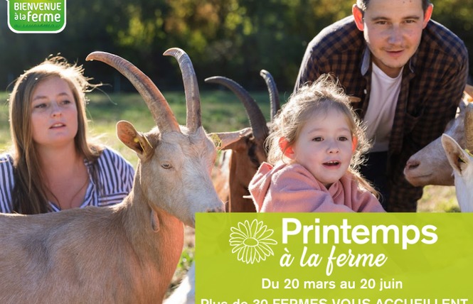 PRINTEMPS A LA FERME - LES VERGERS DE LA ROUERIE 1 - Gennes-Longuefuye