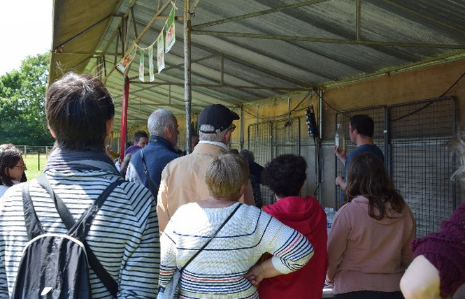 Rendez-vous aux jardins - Marché des producteurs au Musée Robert Tatin 2 - Cossé-le-Vivien