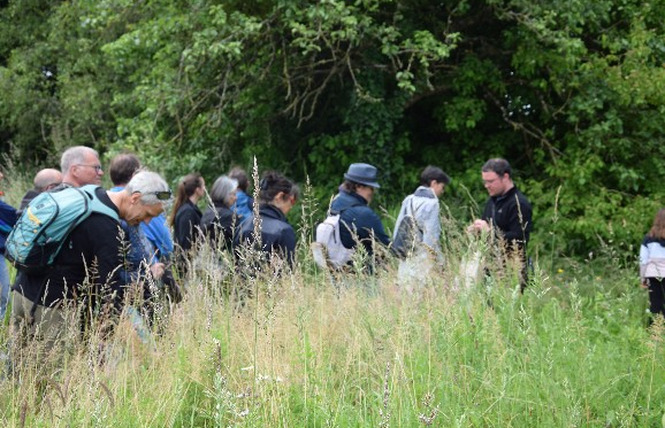 Rendez-vous aux jardins - Performance dansée : Surgir d'entre les murs au Musée Robert Tatin 2 - Cossé-le-Vivien