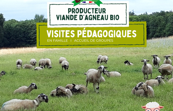 Visite de la ferme pédagogique - Villette en direct 1 - Gennes-Longuefuye