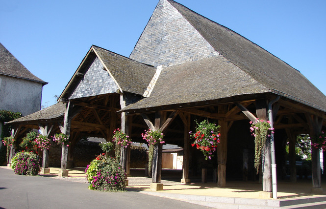 Village médiéval Saint-Denis-d'Anjou 8 - Saint-Denis-d'Anjou