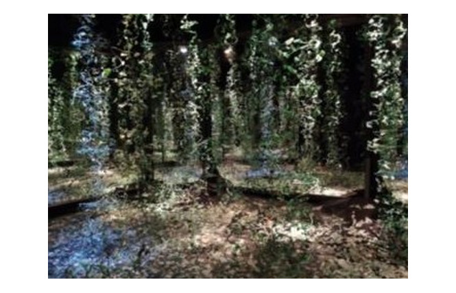 Exposition estivale au gARage 1 - Château-Gontier-sur-Mayenne