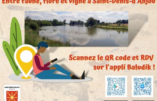 PARCOURS BALUDIK : ENTRE FAUNE, FLORE ET VIGNE À ST-DENIS-D'ANJOU 1 - Saint-Denis-d'Anjou