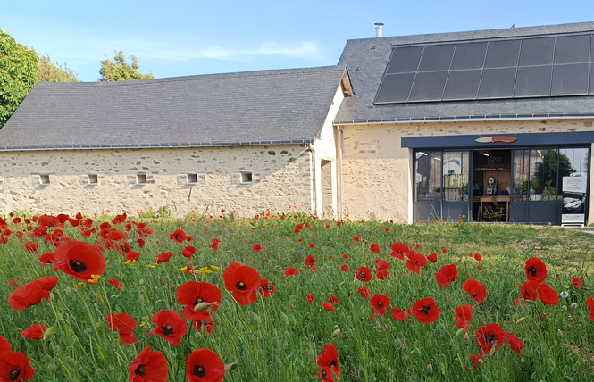 COUTELLERIE DU MAINE ANJOU 5 - La Roche-Neuville