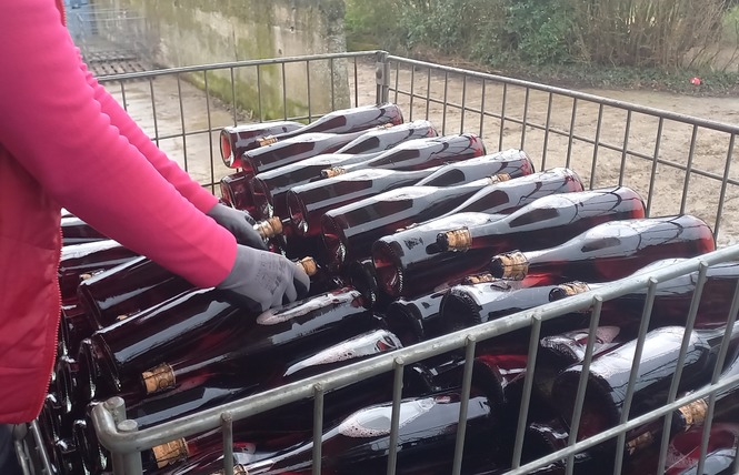 PRINTEMPS A LA FERME - LES VERGERS DE LA ROUERIE 4 - Gennes-Longuefuye