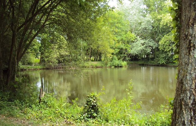 Gîte les Feux Chauds 9 - Bouchamps-lès-Craon