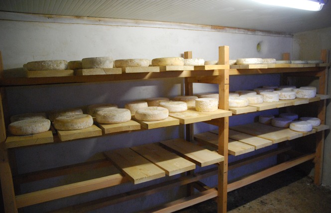 BREBIS DU BOIS 5 - Chemazé
