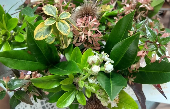 Benedicta Paysanne Fleuriste 2 - Maisoncelles-du-Maine