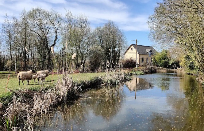 GÎTE DU MEUNIER 16 - Prée-d'Anjou