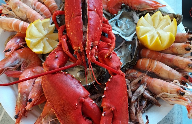 La Belle Vie 6 - Saint-Denis-du-Maine