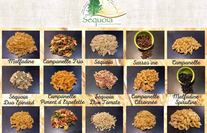 SEQUOIA PÂTES ET FARINES 1 - Val-du-Maine