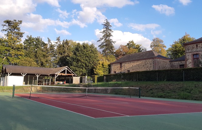 GÎTE L'AILE OUEST DU CHÂTEAU DE CRAON 12 - Craon