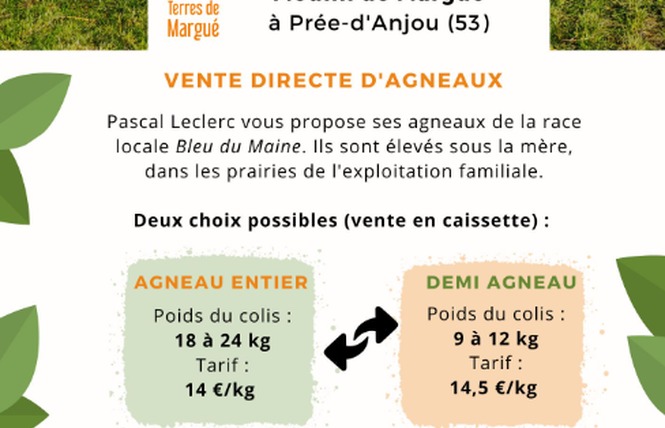 TERRES DE MARGUÉ 3 - Prée-d'Anjou