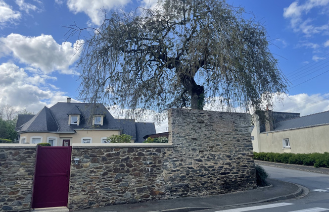 Chambres d’hôtes de la Capucine 16 - Château-Gontier-sur-Mayenne
