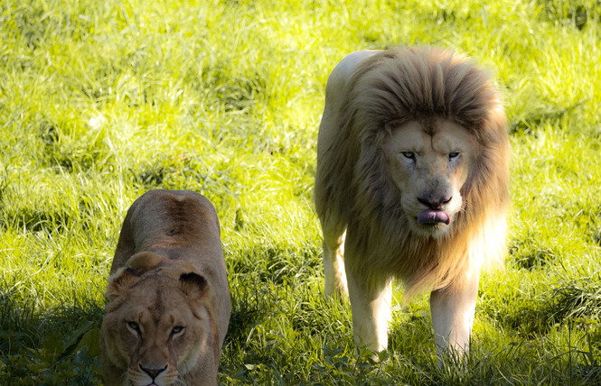Points rencontre au Refuge de l'Arche 1 - Château-Gontier-sur-Mayenne