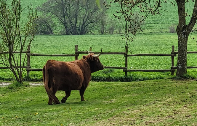 Ferme pédagogique du Breil 5 - Ballots