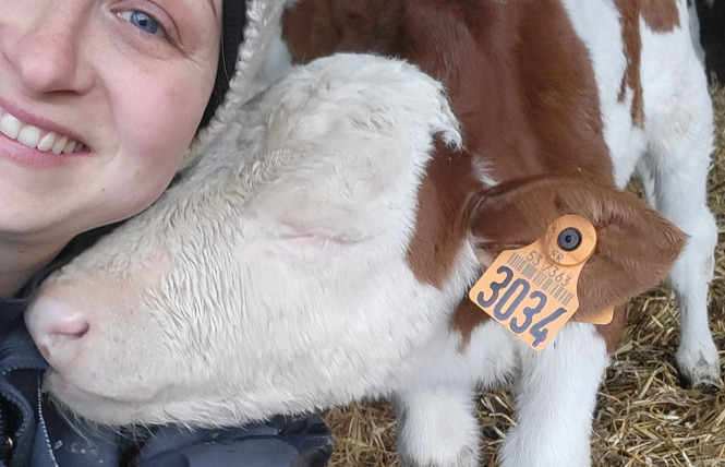 Ferme pédagogique du Breil 12 - Ballots