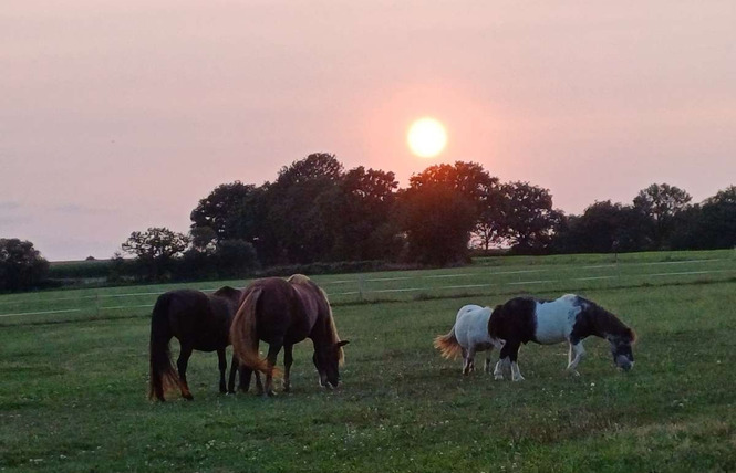 Ferme pédagogique du Breil 11 - Ballots