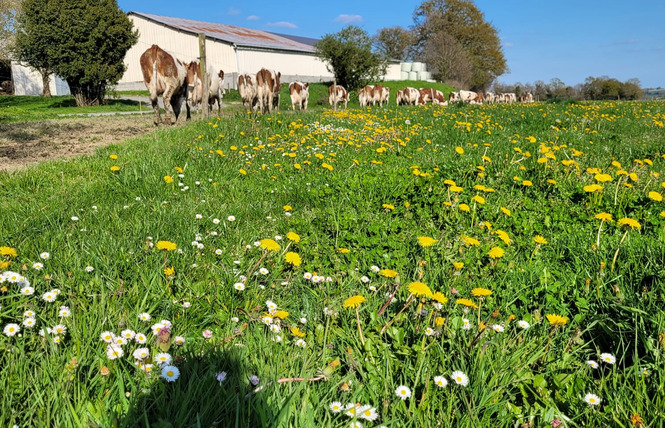 Ferme pédagogique du Breil 6 - Ballots