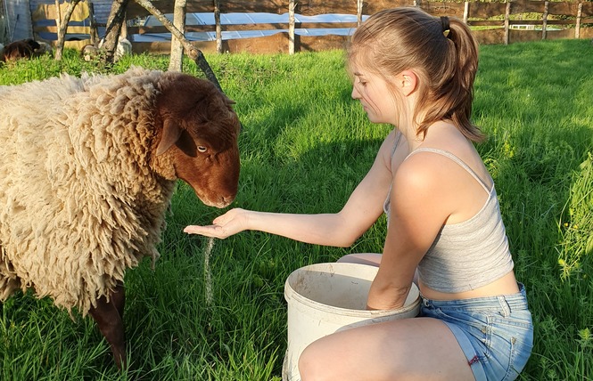 Camping à la ferme la Viotterie 13 - La Boissière