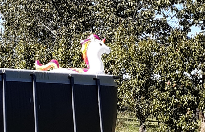 LES RAVALIÈRES 28 - Livré-la-Touche