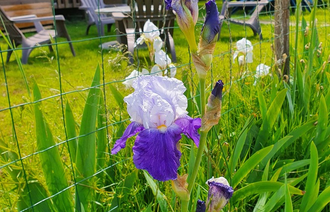 Camping à la ferme la Viotterie 2 - La Boissière