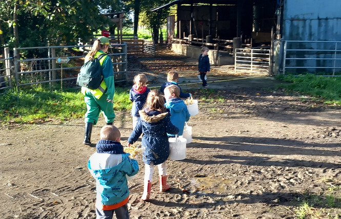 FERME PÉDAGOGIQUE VILLETTE EN DIRECT 9 - Gennes-Longuefuye