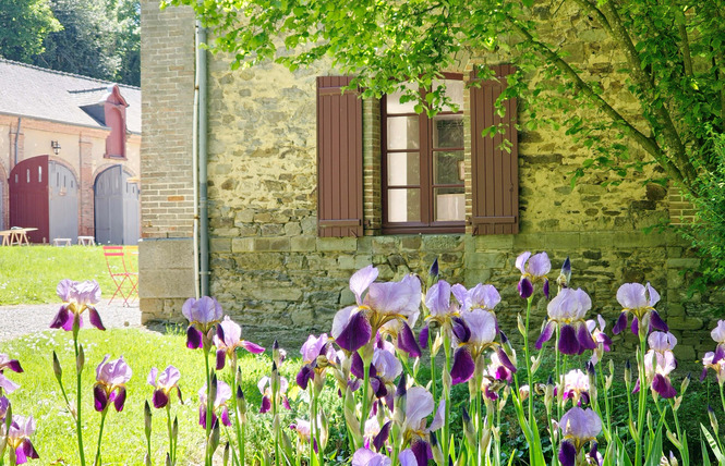 L'Orangerie du Château de Craon 16 - Craon