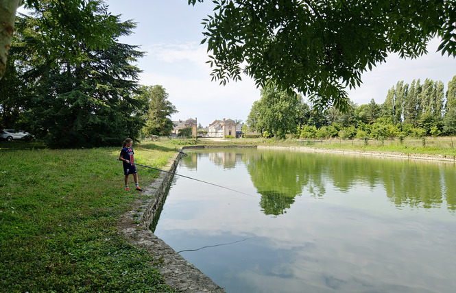 Gîte Bel Air 3 - Craon