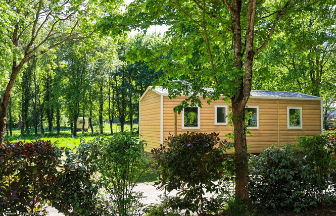 Camping *** de la Rincerie 12 - La Selle-Craonnaise