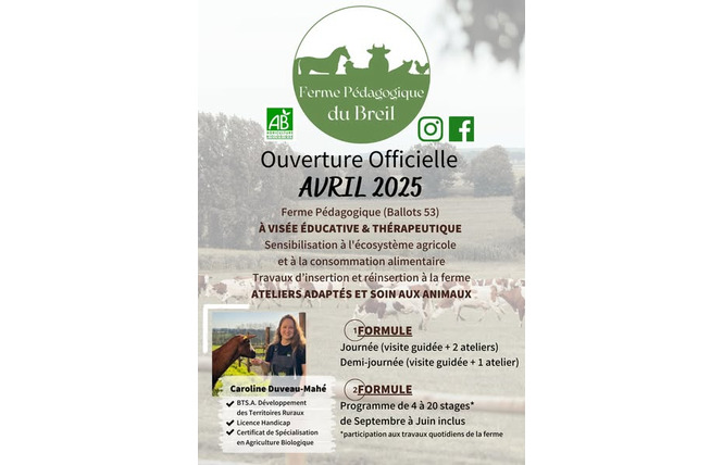 Ferme du Breil 2 - Ballots