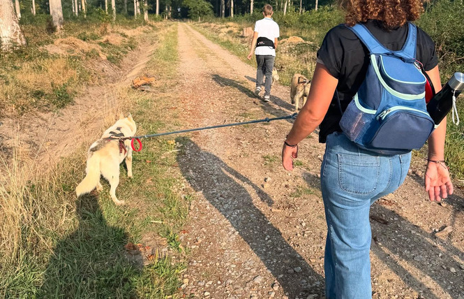 Formule cani randonnée d’une journée - Cani-tout tout 1 - Le Bignon-du-Maine