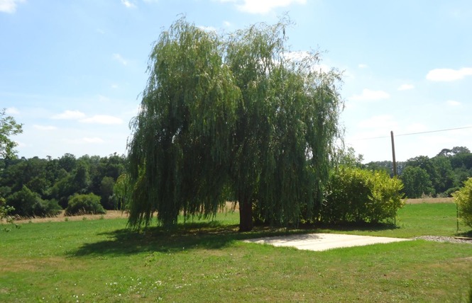 Gîte la Musse - Le Grand Gîte 14 - Pommerieux