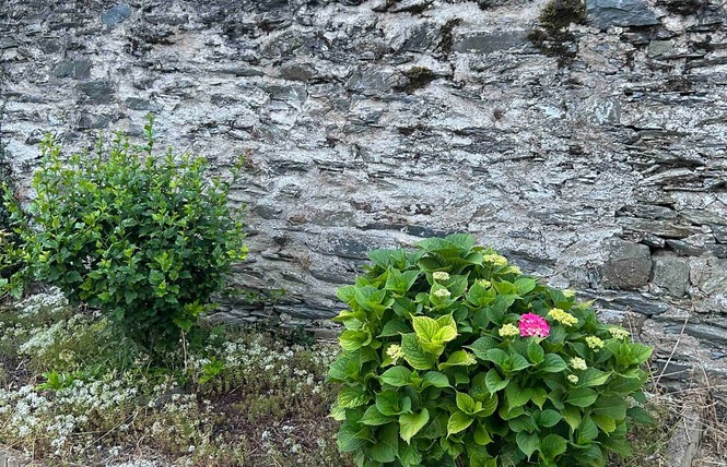 Gîte les Volets Bleus 23 - Château-Gontier-sur-Mayenne