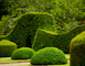5èmes Journées Mondiales de l'Art Topiaire - Manoir de Favry 3 - Préaux