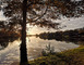 CHALET LA PERCHE, LES PIEDS DANS L'EAU, 5-7 PERS 36 - Villiers-Charlemagne