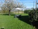 Gîte la Bohillière 11 - Saint-Martin-du-Limet