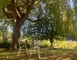 River Cottage 5 - Daon