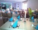 RESTAURANT LE CAMELIA 4 - Ruillé-Froid-Fonds
